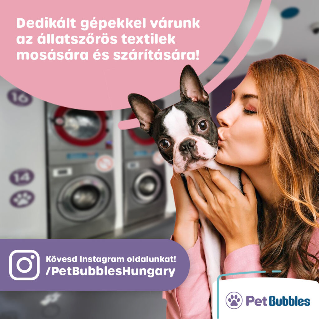 petbubbles_instagram